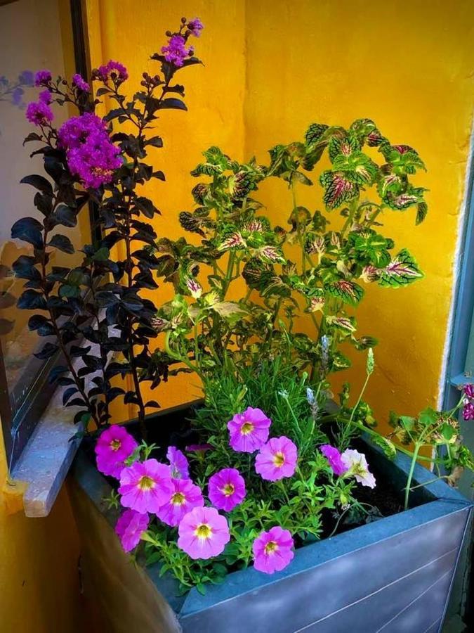 Higos Chumbos, Casa Rural Compartido 치클라나 데 라 프론테라 외부 사진