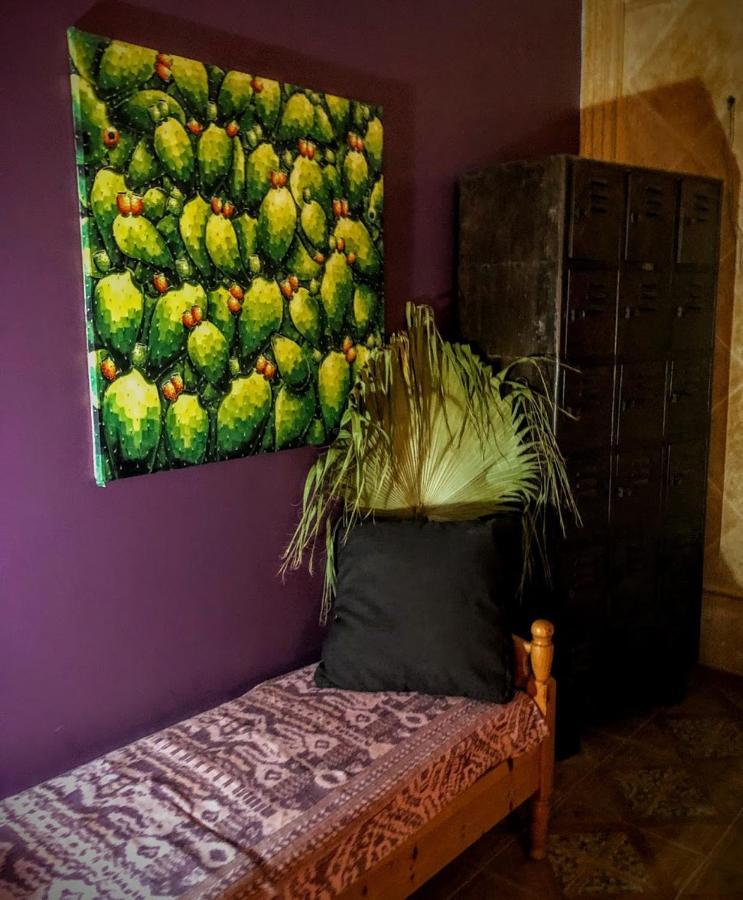Higos Chumbos, Casa Rural Compartido 치클라나 데 라 프론테라 외부 사진