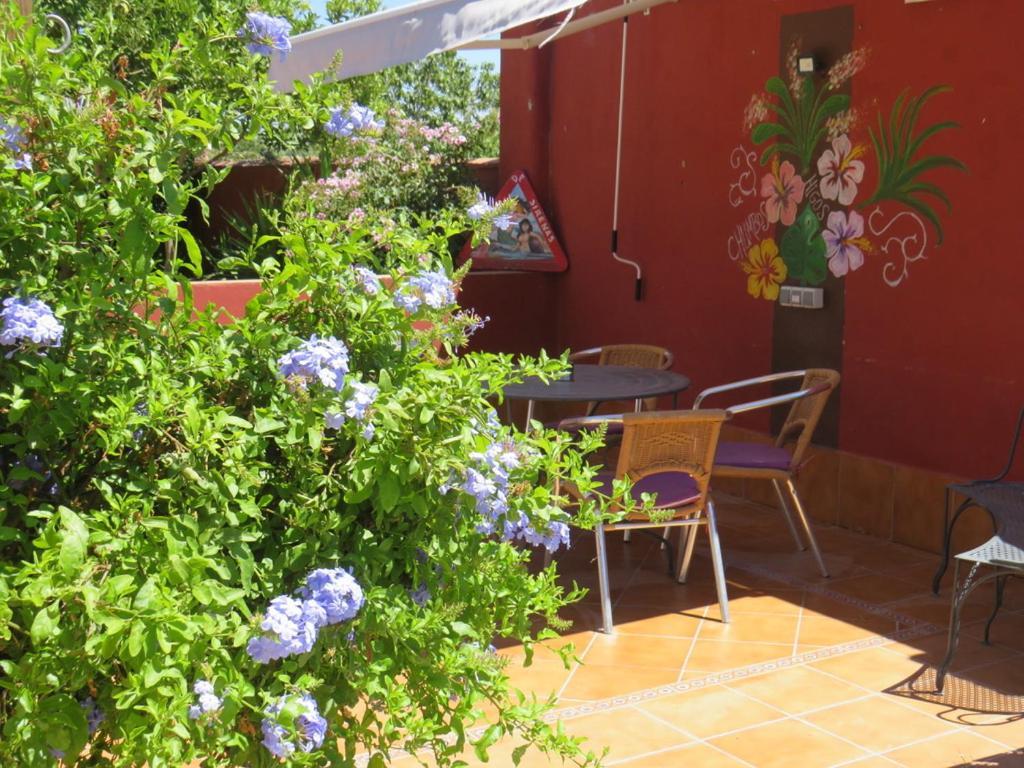Higos Chumbos, Casa Rural Compartido 치클라나 데 라 프론테라 외부 사진